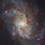 Galaxy